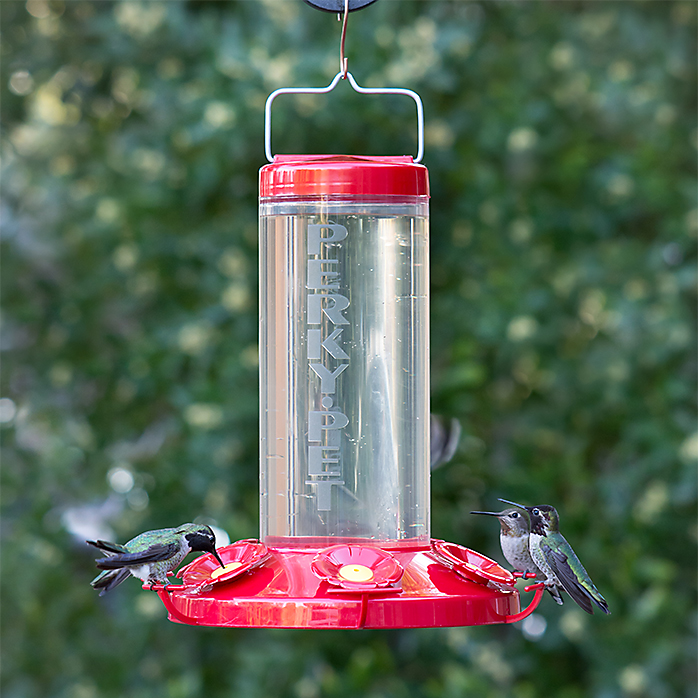 Hungry Hummingbirds Thermometer