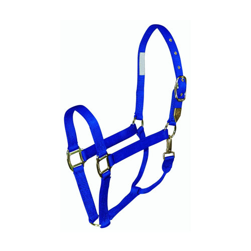 Hamilton Deluxe Nylon Halters with Adjustable Chin Strap and Panic Snap