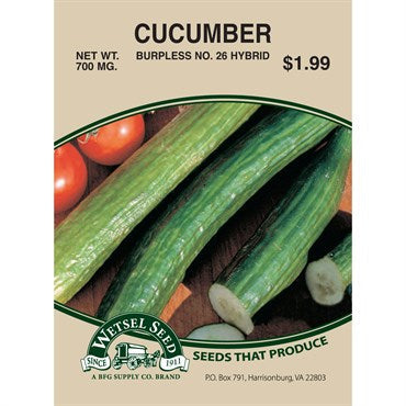 Wetsel Seed Cucumber - Burpless (500mg Packet)