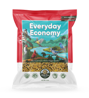 Bird Pro Everyday Economy