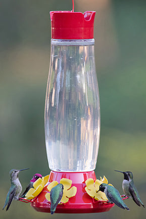 HUMMINGBIRD FEEDE 48 OZ TOP FILL GLASS