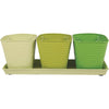 Robert Allen Selby 4.25 In. x 4 In. x 11.75 In. Metal Limelight Green Herb Garden Planter Set (4-Piece)