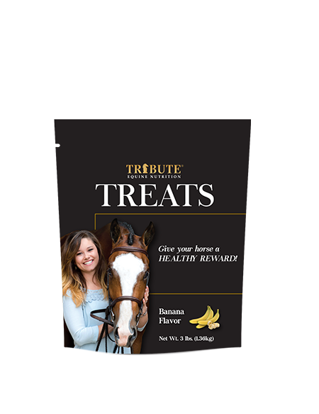 Tribute Banana Horse Treats