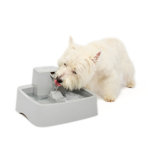 PetSafe Drinkwell® 1 Gallon Pet Fountain