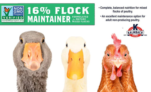 Kalmbach 16% Flock Maintainer® (Non-GMO Pellet)