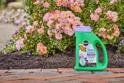 Miracle-Gro® Shake 'n Feed® Rose & Bloom Plant Food