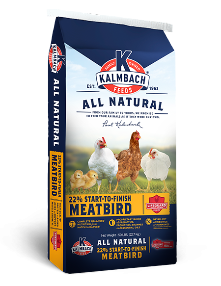 22% Start-To-Finish Meatbird Feed