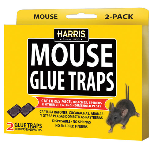 Harris Mouse Glue Traps